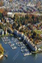 Aerial 036