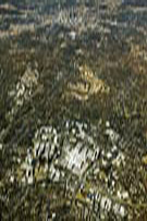 Aerial 038