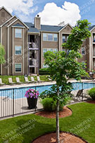 Apartments 007
