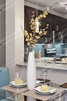 Apartments 007