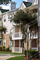 Apartments 004
