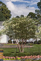 Apartments 007