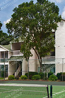 Apartments 003
