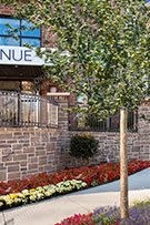 Apartments 005