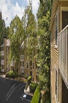 Apartments 110