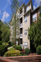Apartments 126