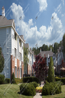 Apartments 185