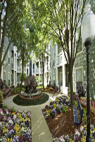 Apartments 223