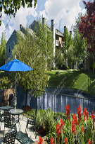 Apartments 236