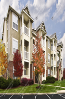 Apartments 261