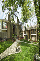 Apartments 292