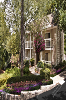Apartments 374