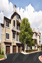 Apartments 383