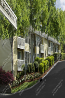 Apartments 392