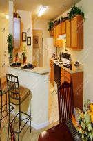 Apartments 410