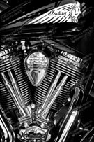 Black and White 024