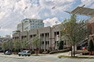 Charlotte Stock 006