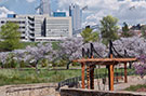 Charlotte Stock 005