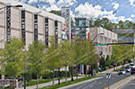 Charlotte Stock 007