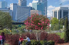 Charlotte Stock 006
