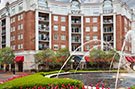 Charlotte Stock 005