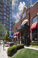 Charlotte Stock 049