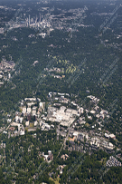 Charlotte Stock 108