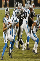 Charlotte Stock 136