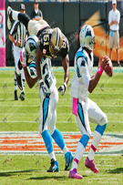 Charlotte Stock 137