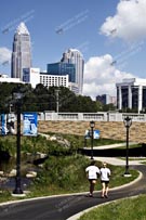 Charlotte Stock 181