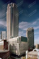 Charlotte Stock 192