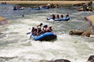 Event 303