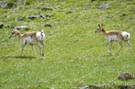 Expeditions 088